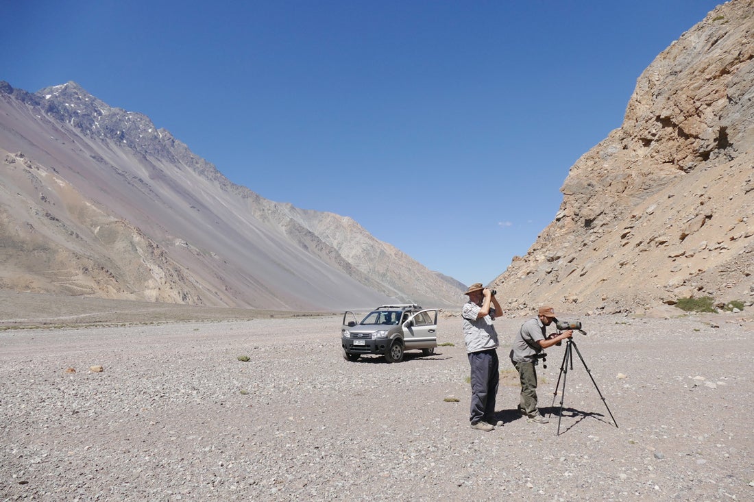 Fred Homer (left) and Fernando Diaz Segovia birding in the El Yeso Valley. Noah Strycker