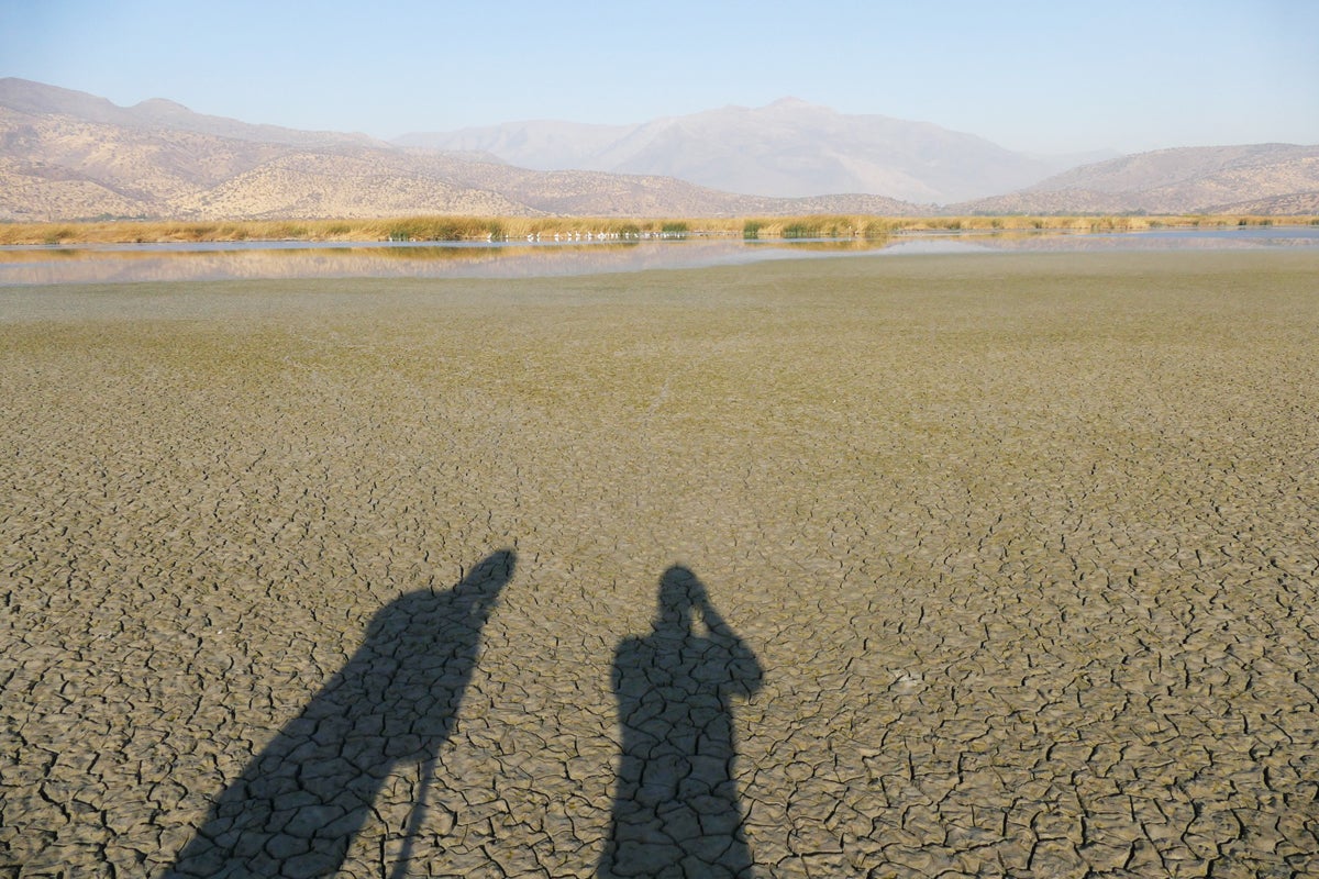 Noah and Fred cast shadows on a dried up mudflat as they scan for distant birds. Noah Strycker