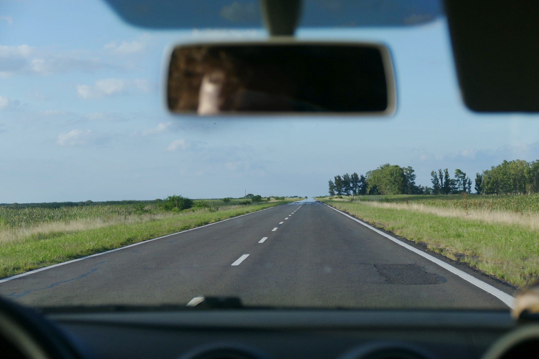 The wetlands of Entre Rios, seen through the windshield of Noah's rental car. Noah Strycker