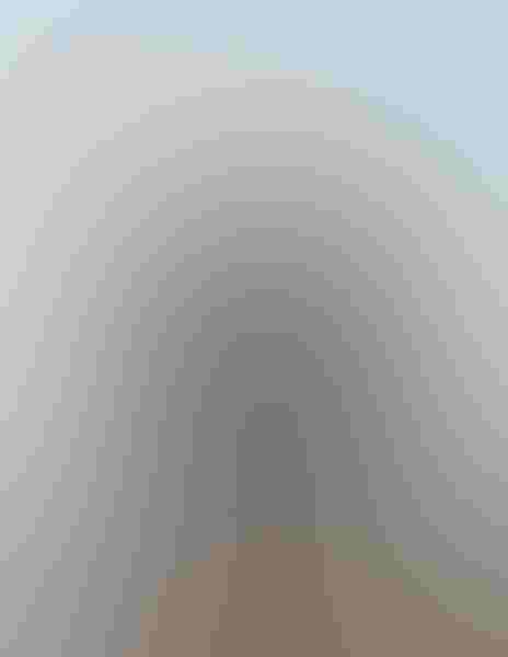 Double-crested cormorant, by Aaron Baggenstos