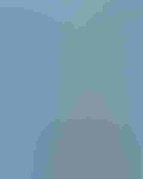 Great blue heron, by Michael Libbe