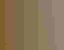 House Sparrow. George McKenzie Jr.