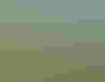 A man walks down a grassy trail in a field, towards a forested area. There is a railing made of rope to one side. We see the man from behind, and he has his hands on a rope.
