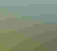A man walks down a grassy trail in a field, towards a forested area. There is a railing made of rope to one side. We see the man from behind, and he has his hands on a rope.
