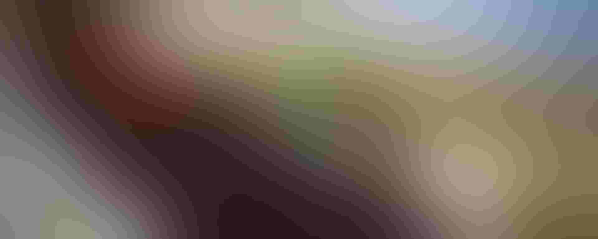 Photo: Lucy Nicholson/Reuters