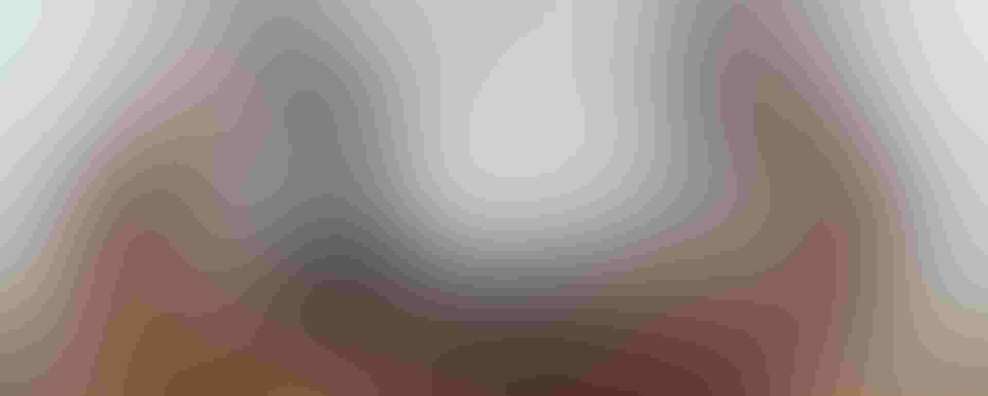 A recurrent festivalgoer sports a vintage Biggest Week shirt. Photo: Camilla Cerea/Audubon A recurrent festivalgoer sports a vintage Biggest Week shirt. Camilla Cerea/Audubon