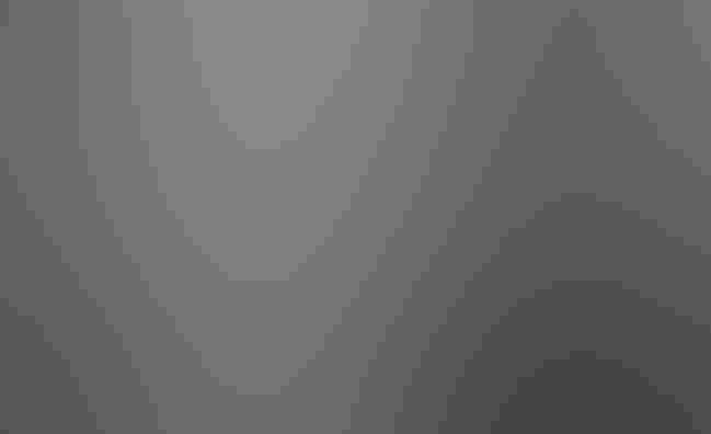 E.O. Wilson. Henry Leutwyler/Contour by Getty Images