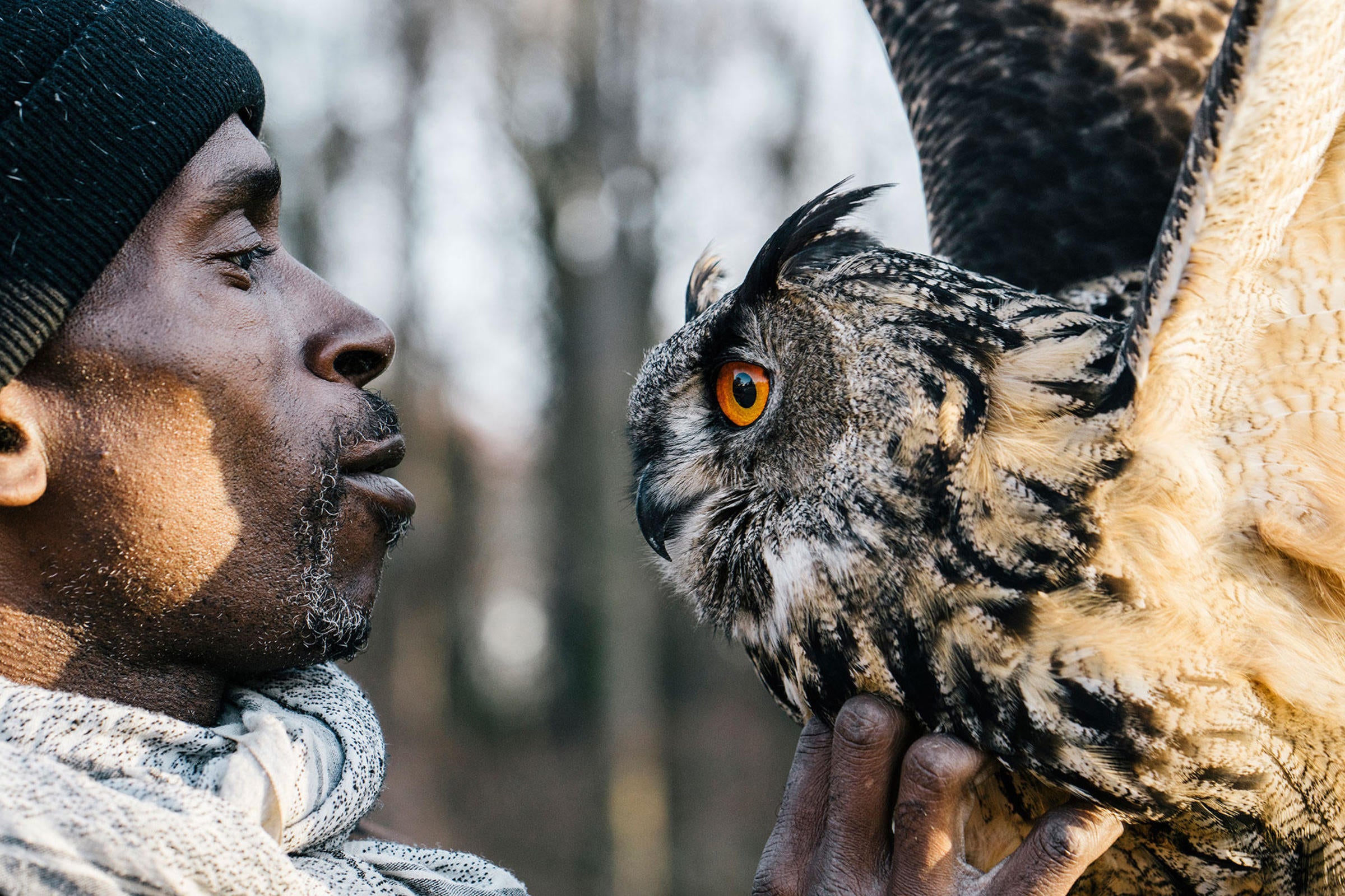 Rodney Stotts and a Eurasian Eagle-owl. Greg Kahn