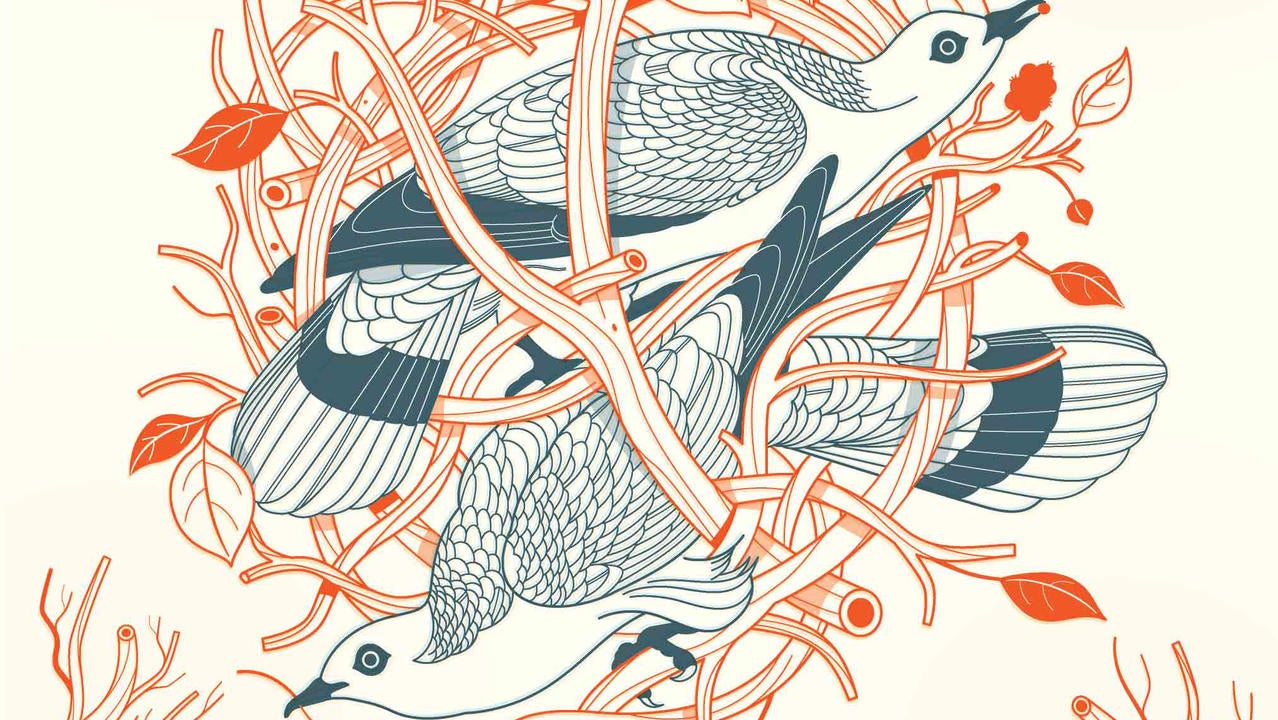 Illustration: Harry Campbell