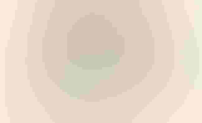 Illustration: Harry Campbell