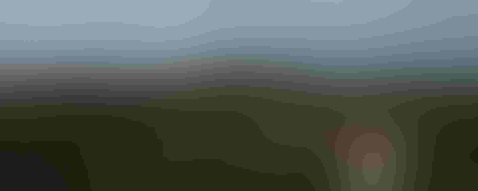 Young frigatebirds sit in the foreground, not yet ready to take to the skies. Photo: Tristan Spinski Young frigatebirds sit in the foreground, not yet ready to take to the skies. Tristan Spinski