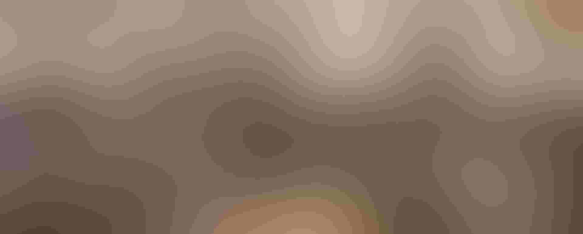 RISD's Edna Lawrence Nature Lab. Photo: Richard Barnes RISD's Edna Lawrence Nature Lab. Richard Barnes