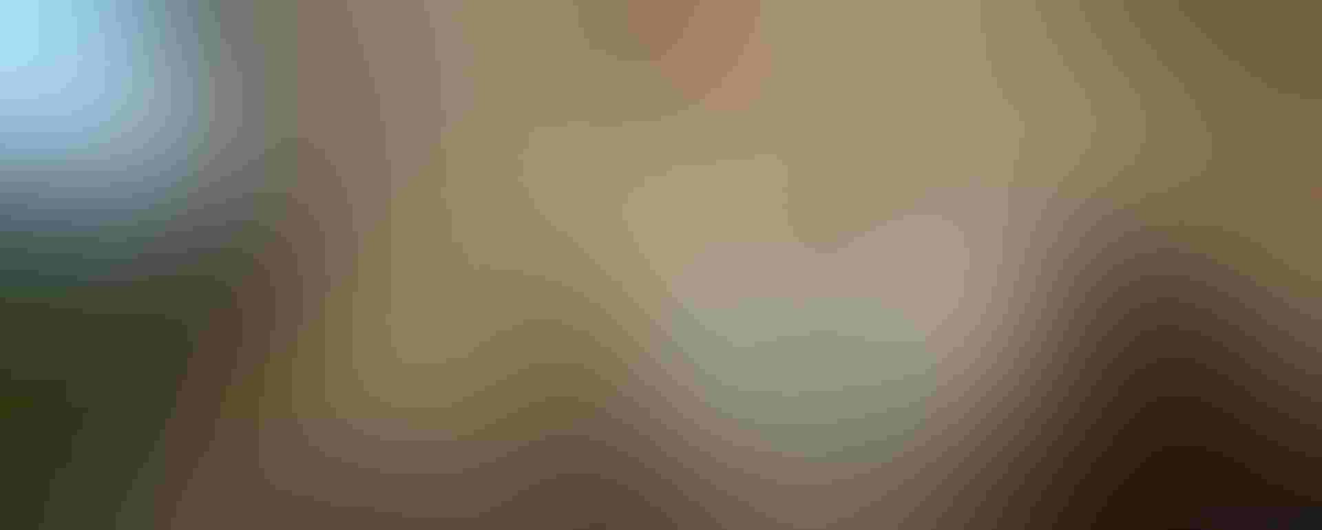 Gyrfalcon chicks.  Photo: Gerrit Vyn Gyrfalcon chicks. Gerrit Vyn