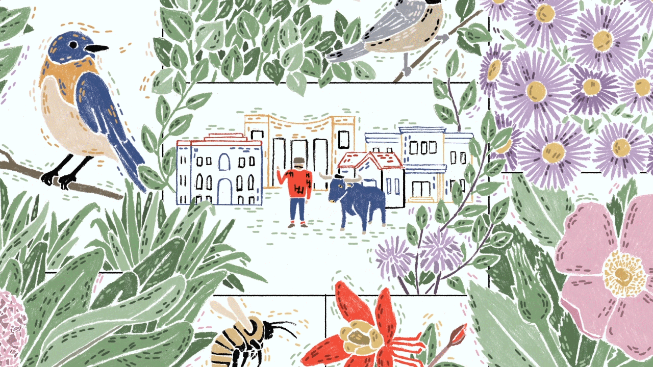 Illustration: Thoka Maer