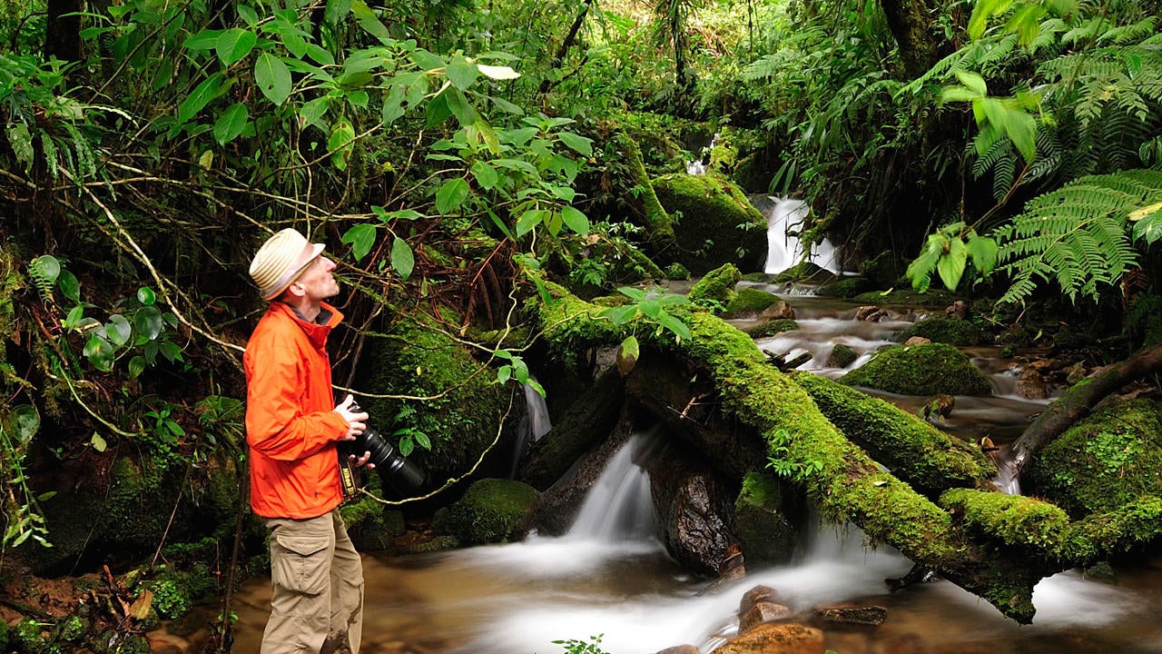 Panama's Parque Nacional de Amistad looks like a lovely place to do a little birding. Christian Heeb/Getty Images