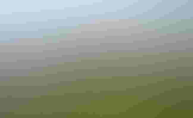 Aullwood Center. Courtesy of Aullwood Audubon Center & Farm