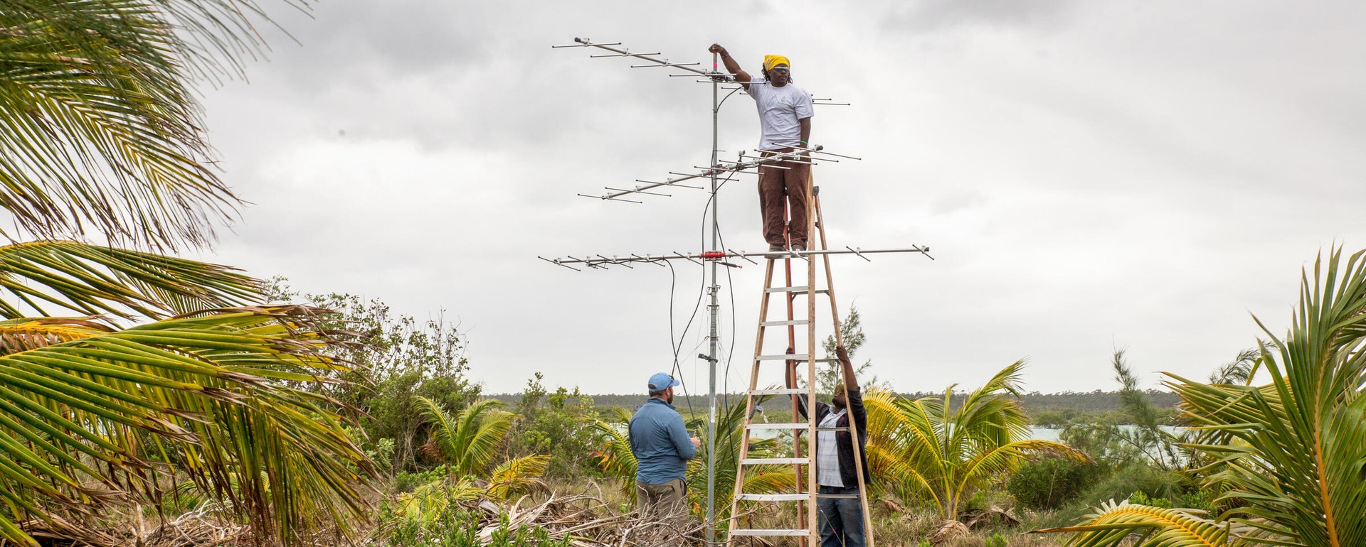 Scott Johnson (top), science officer at Bahamas National Trust, Matthew Jeffrey (left), Deputy Director of the ³Ô¹ÏºÚÁÏ Americas Program, and Shontes Hall, student at the University of The Bahamas, build the first Motus Wildlife Tracking tower in Kamalame Cay, Andros, Bahamas.  Photo: Camilla Cerea/³Ô¹ÏºÚÁÏ