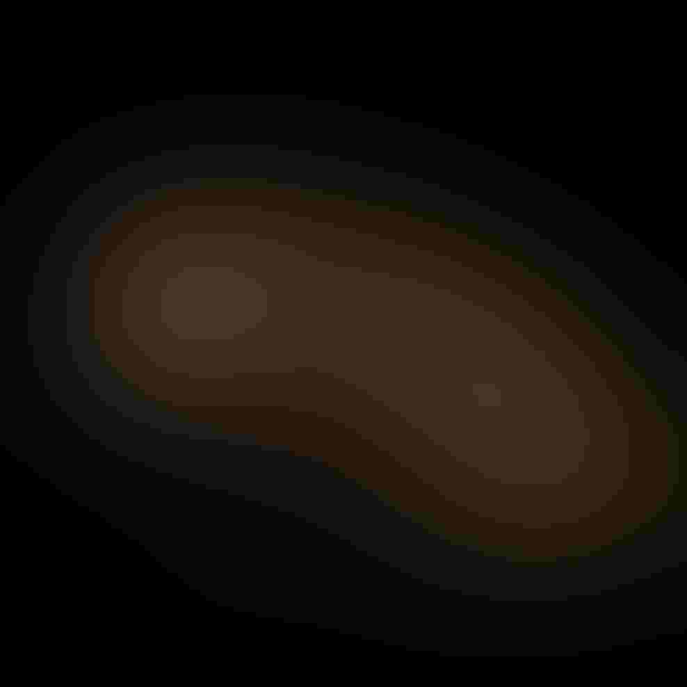 Great Indian civet Photo: Joel Sartore Great Indian civet Joel Sartore