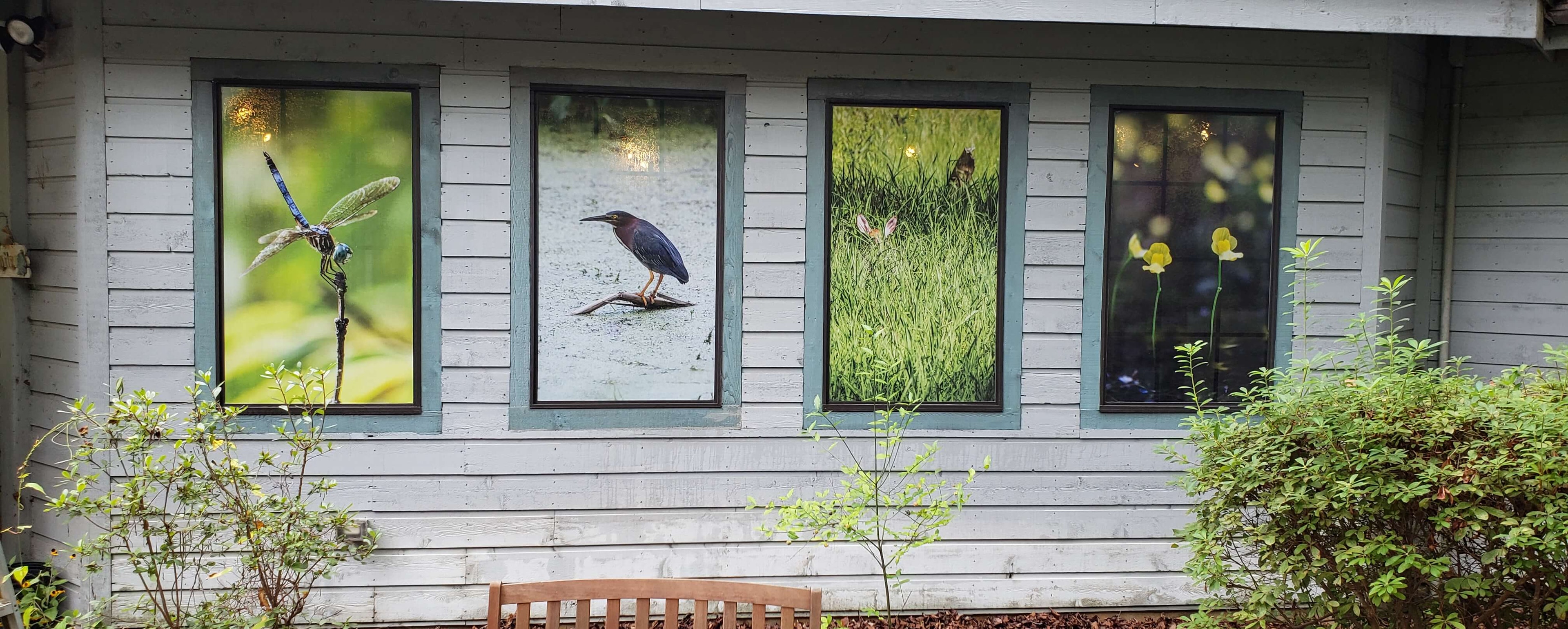 Bird-Friendly Buildings | Audubon