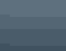 Common Tern flying over water.