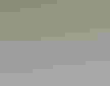 A wilson's phalarope on water.
