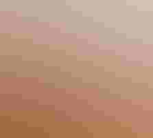 A condor stands on an orange-colored cliffside with outstretched wings affixed with numbered tags.