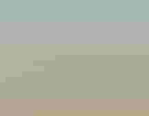 A lark bunting sitting on a branch looking at a grassland landscape with cattle.