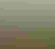 Landscape with waterfowl in a stream with mountains behind it.