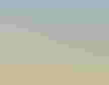 A streaky brown bird with a large beak and yellow face perches on a fence post with its feathers fluffed up against a blurred yellow and blue background.