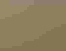 An albatross stands in a field next to a megaphone and two albatross decoys.