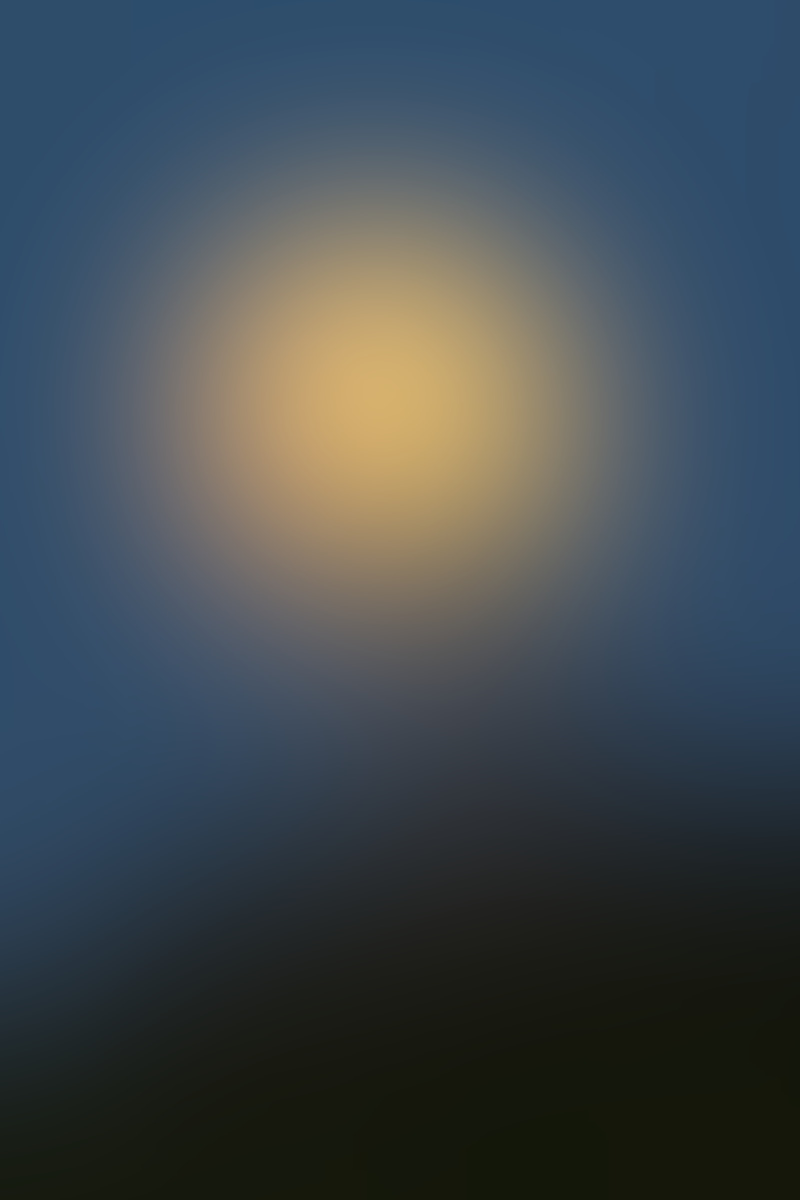 A single Atlantic Puffin stands in profile on a rock cliff, the full moon framing its face and highlighting the yellow and orange coloring of the bird’s bill.