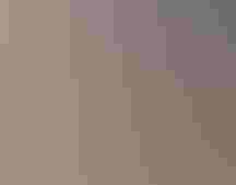 A group of people stands in front of a garden