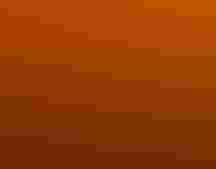 Flock of birds flying high above a long row of wind turbines against an orange sunset