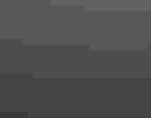 great egret white bird preening on black rocks against grey backdrop of water and sky