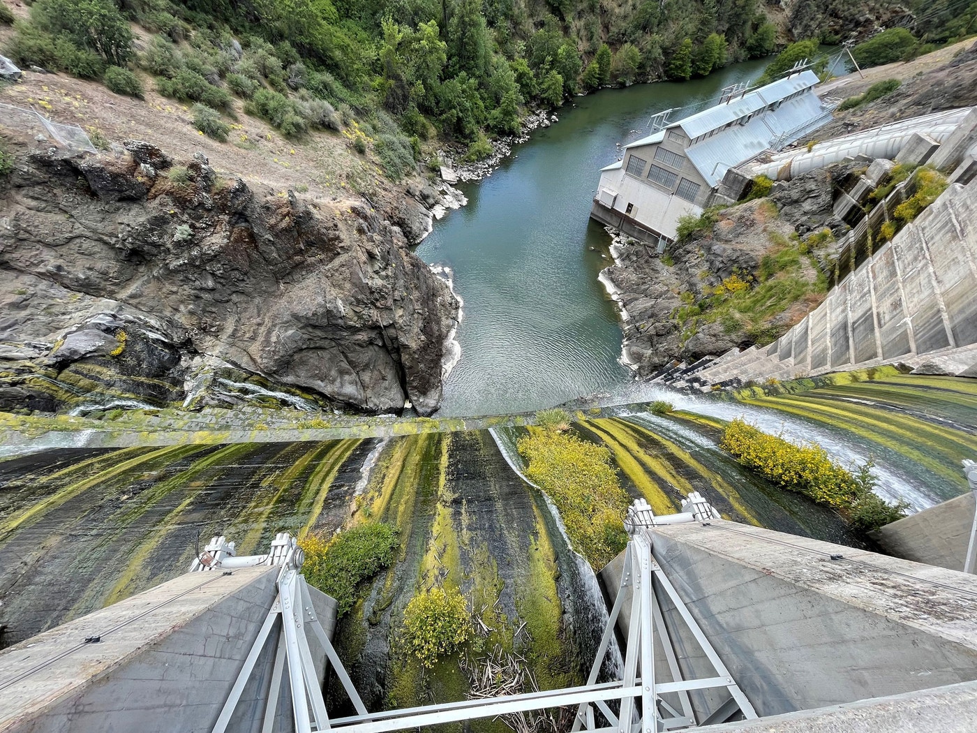 Likmat Rivet With a Historic Dam Removal Imminent, Tribes Prepare for a Klamath ...