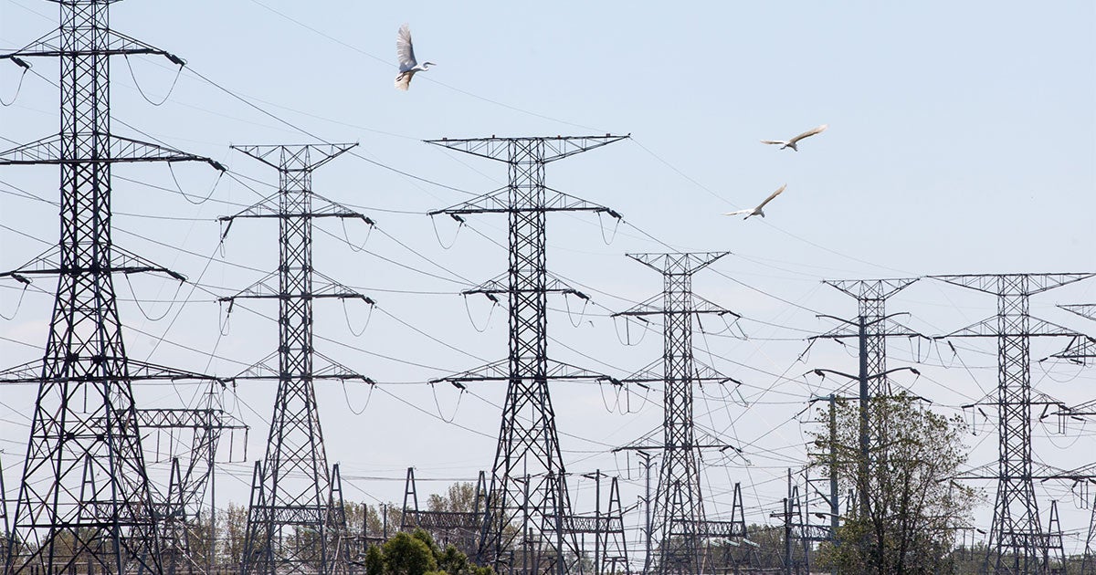 As Climate Impacts Loom, Audubon Calls for Rapid Expansion of Well-Sited Clean Energy Transmission - Vimarsana News