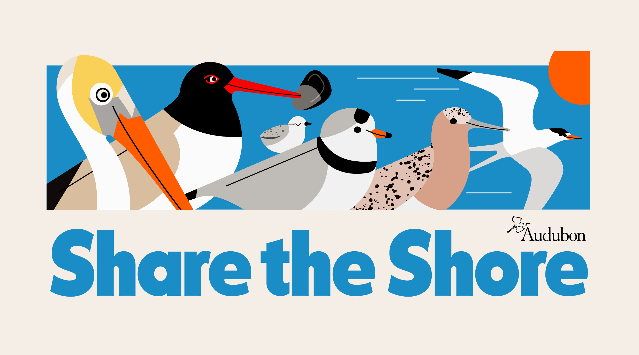 A graphic featuring illustrated shorebirds and text reading: Share the Shore. 