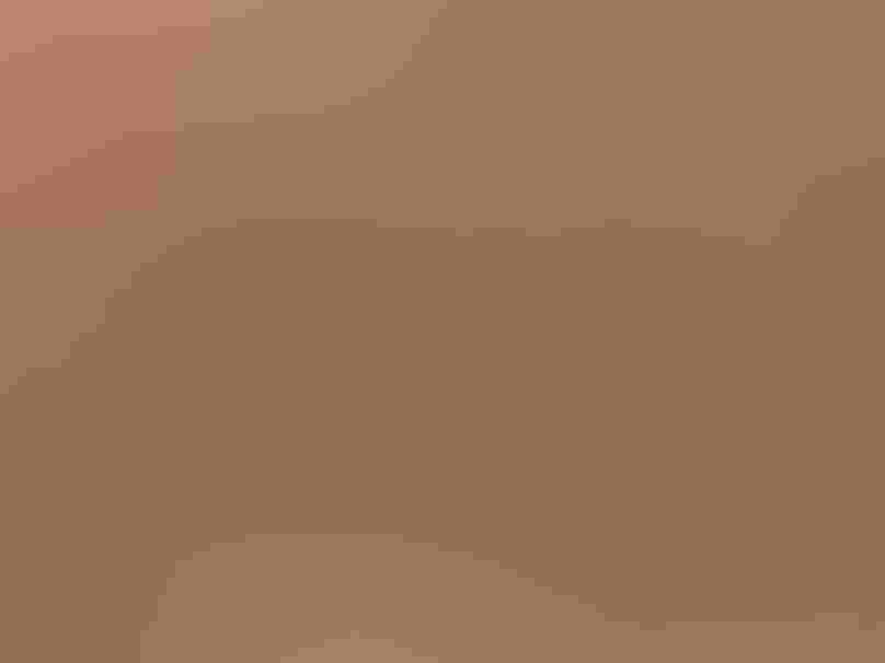 Northern Cardinal (female). Photo: Sujata Roy/Audubon Photography Awards A female cardinal, brown with reddish wing, tail, and crest tips, perches on a branch eating small purple berries with a piece of berry and some seeds stuck on her beak.