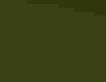 A photo of a Cerulean Warbler perched on a tree branch in a forest.