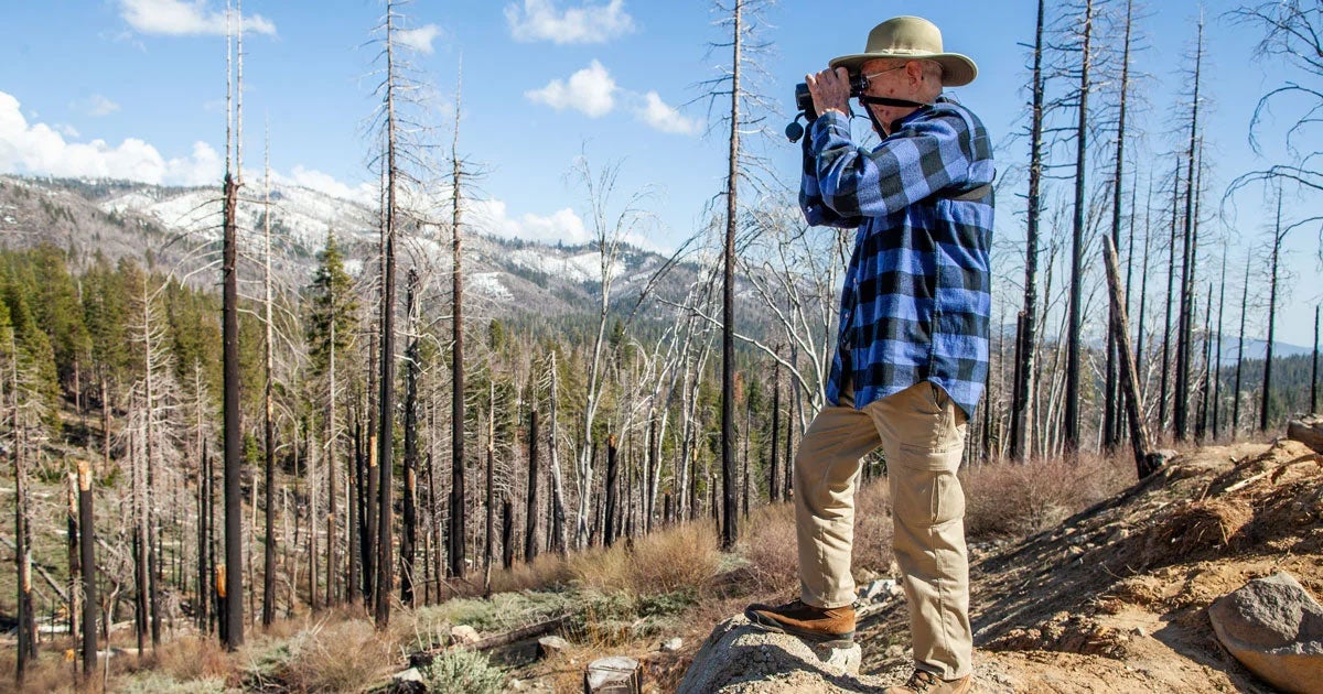 Meet the 88-Year-Old 'Unlikely Birder' On a Quest to Link Two Famed National Parks - Vimarsana News