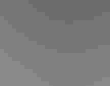 Drawing of two black birds with yellow and white patches perched, mirroring each other, on grass blades against a star-spangled black backdrop and abstract lines.