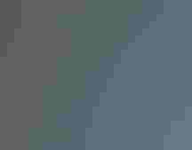 A small owl with backlit feathers sits among bare branches on a blue background,