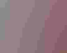 Two-story tall painting of a Black Rail bird on the side of a red brick building on a city street.