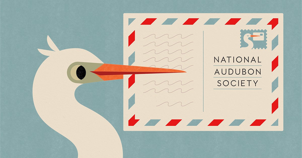 Send a Child’s Imagination Soaring With This Migration-Themed Activity ...