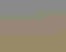 A streaky brown bird with a yellow throat and face stands on a barbed wire fence post.