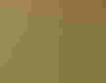 A Ridgway’s Rail swims in a wetland, reeds and tall grass reflected in the water.