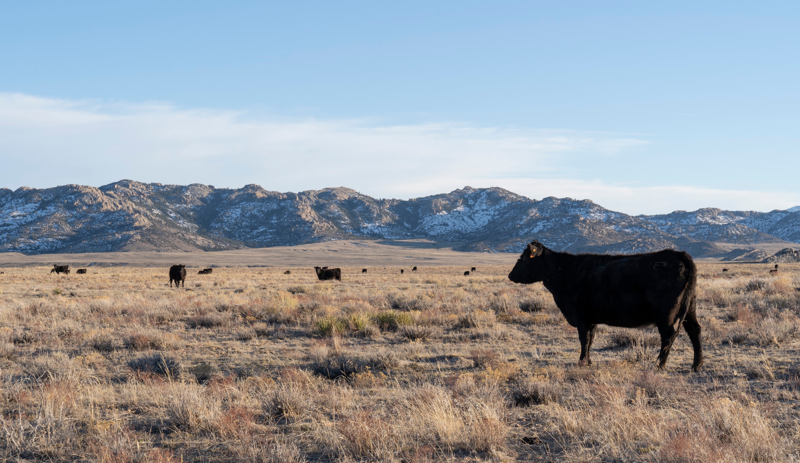 Pathdinders Ranches Natural Climate Solutions | Audubon