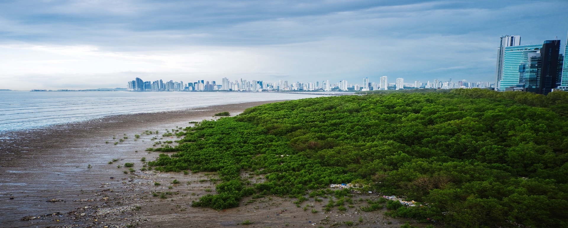 Aerial view of Panama Bay from Viejo Panama and mangroves. Photo: Mike Fernandez/̽»¨¾«Ñ¡