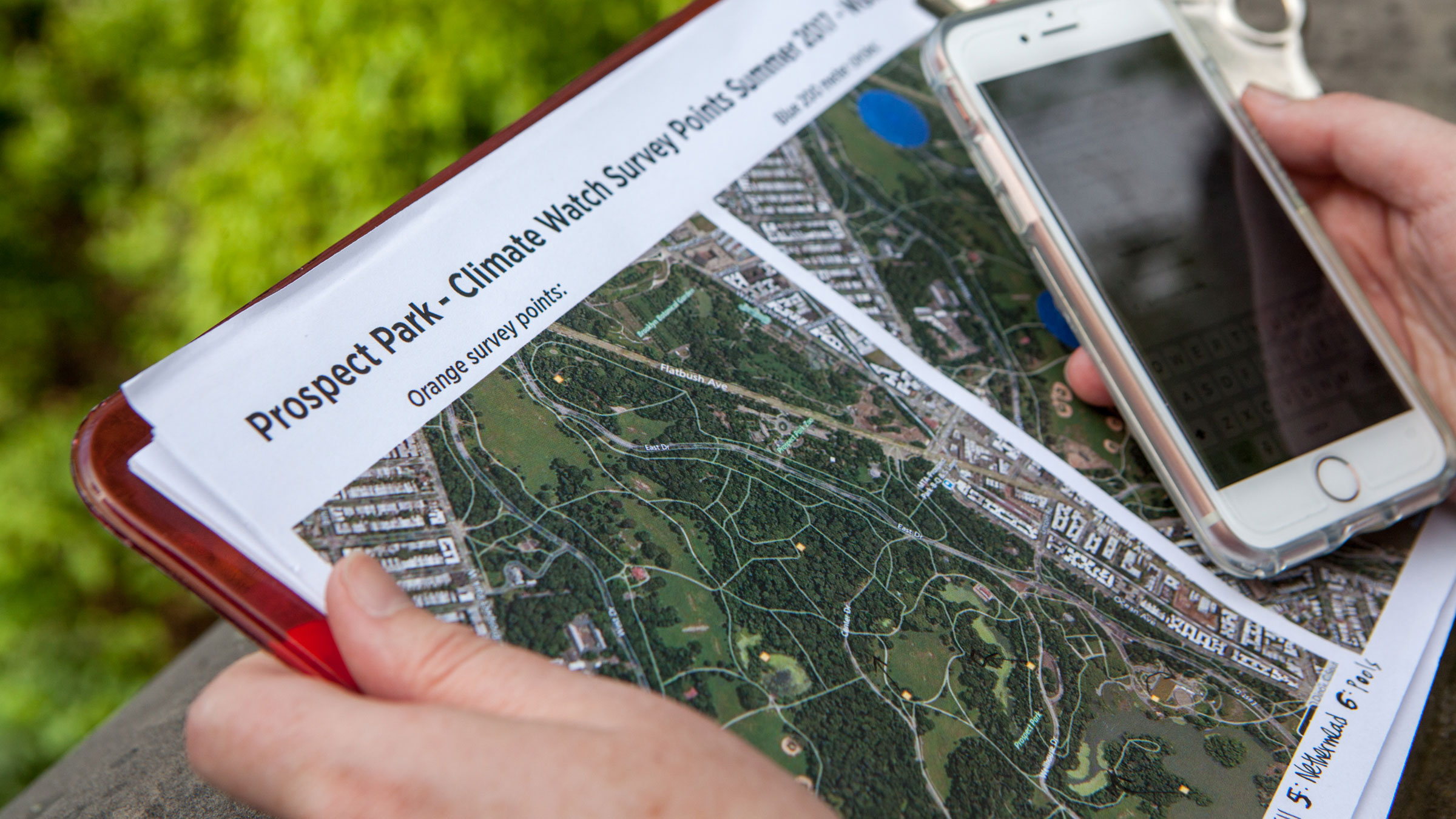 Climate Watch | Audubon