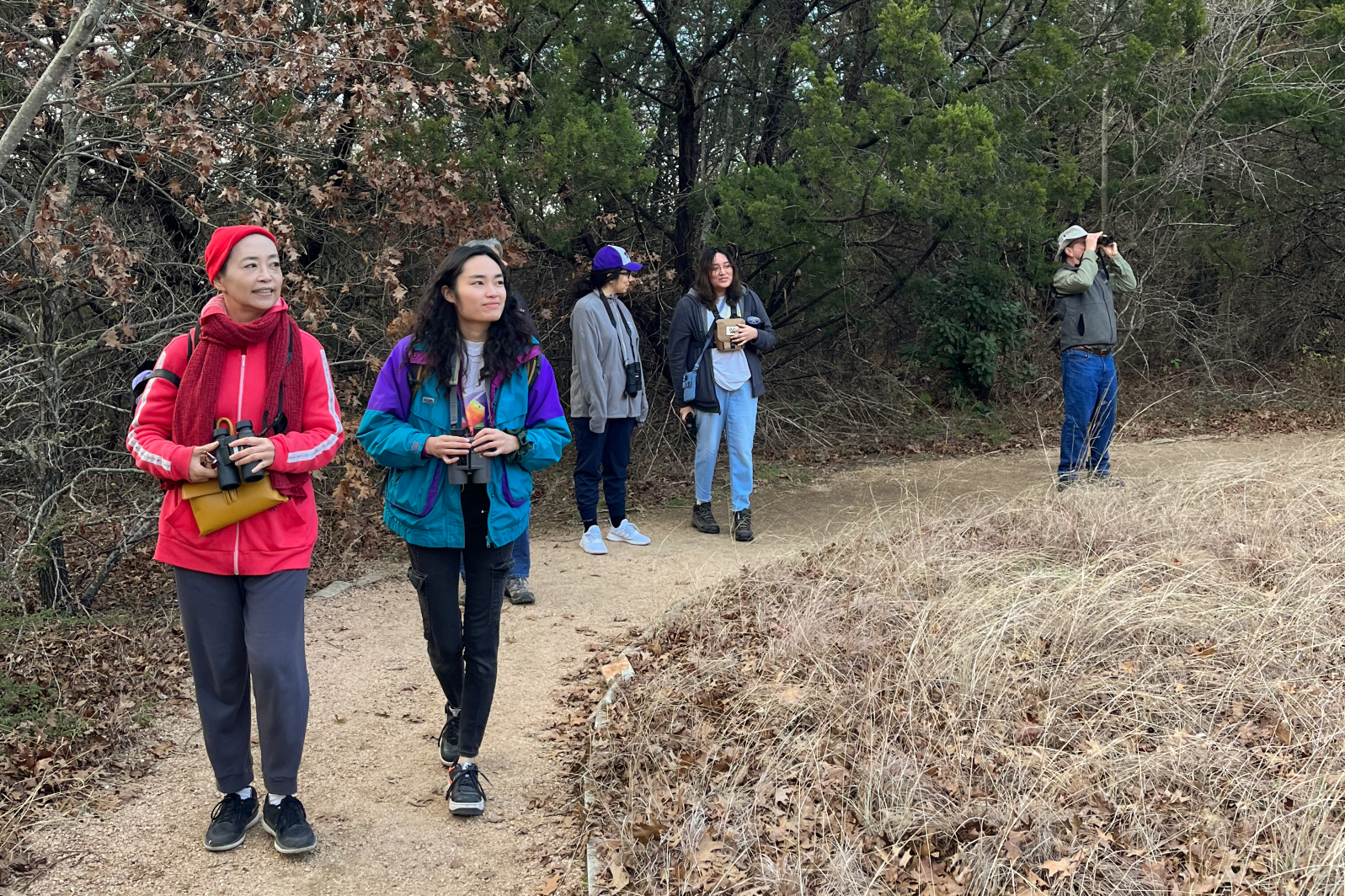 Two people walk and bird while holding binoculars along a trail near trees and grasses, as others bird in the background. 